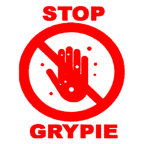 Komunikat w sprawie szczepionek przeciw grypie