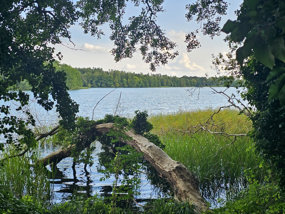 Powiatowy Plan Rozwoju Gospodarki Wodą - ankieta